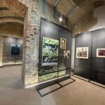 Campi Flegrei-Visco53 (2)