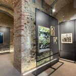 Campi Flegrei-Visco54 (3)